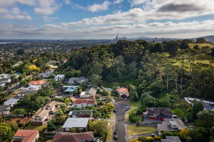 36 La Veta Avenue Mount Albert_31