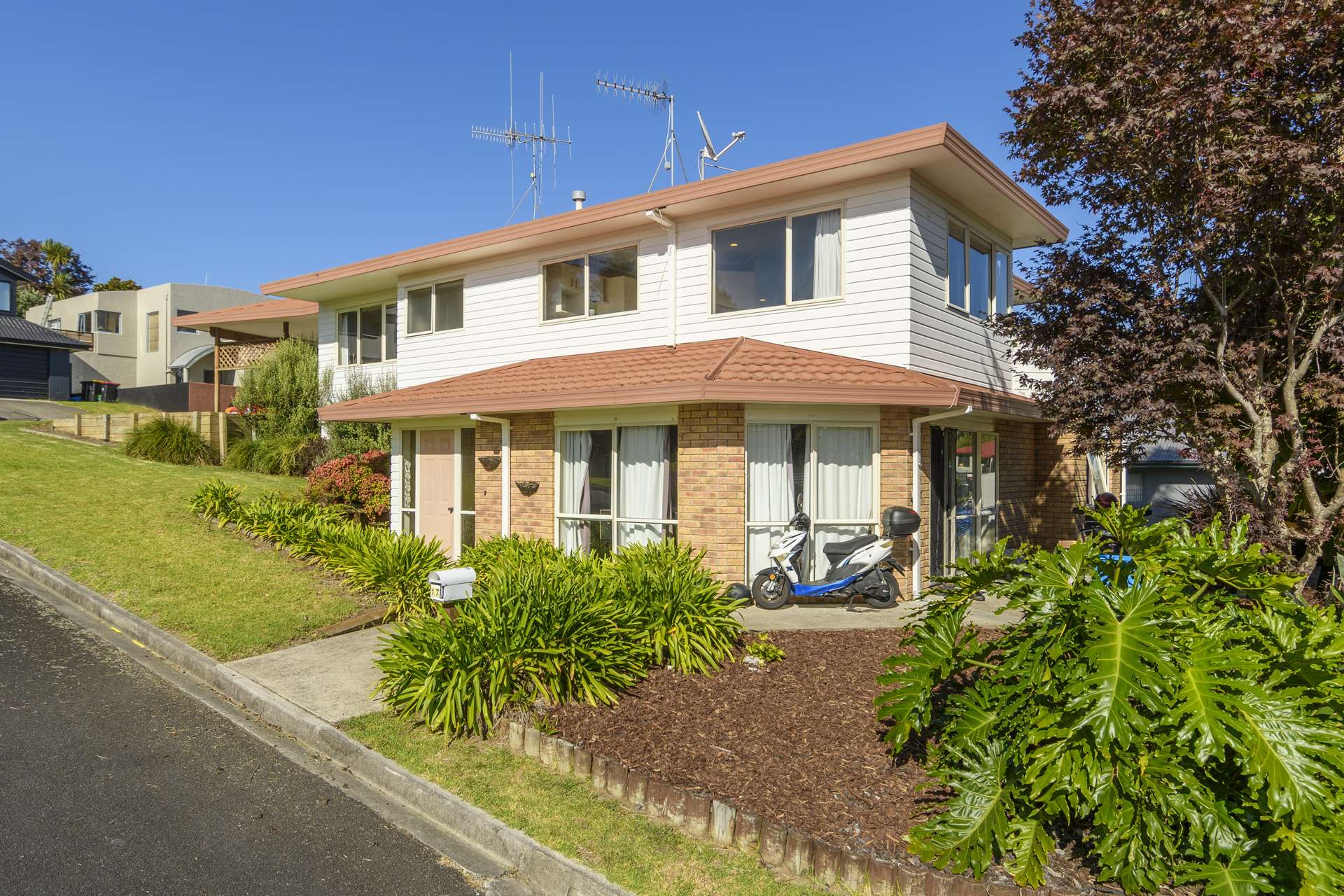 17 Te Koari Drive Brookfield_0