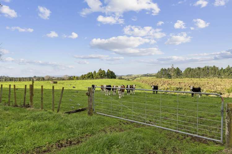 223 Mataro Road Onaero_25