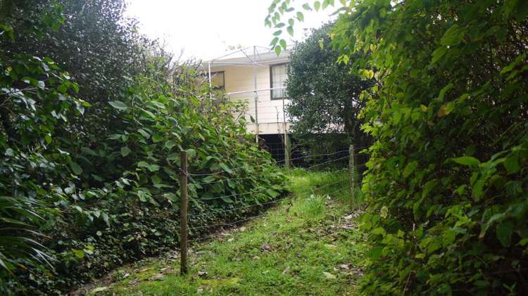 1116 Leigh Road Matakana_28