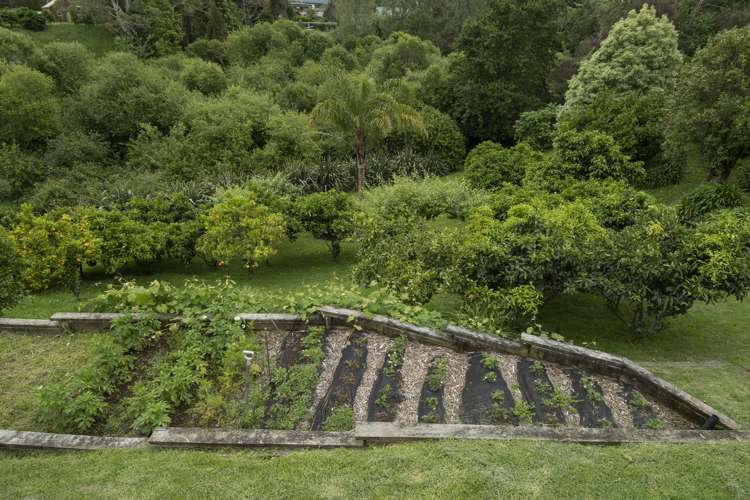 8 Highfields Drive Katikati_20