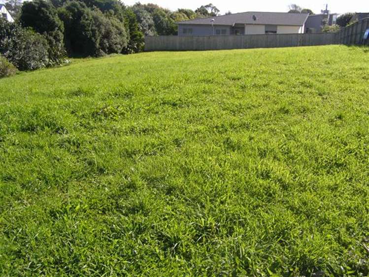 30 Speranza Avenue Otaki_2