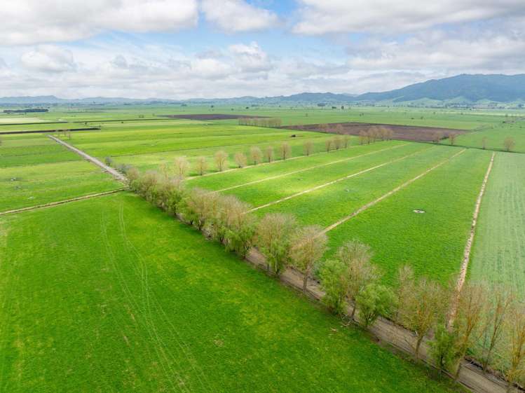 435 and 452 Tainui Road Morrinsville_29