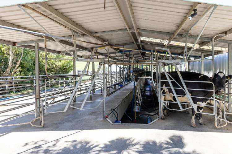 529 Waikokowai Road Huntly_15