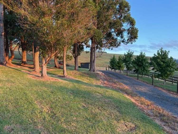 1166 Leigh Road Matakana_15