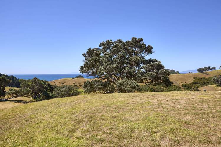 6 Tamihana Road Waiheke Island_12