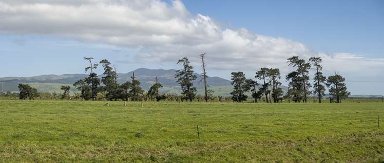 178 Pahautea Road Kahutara_5