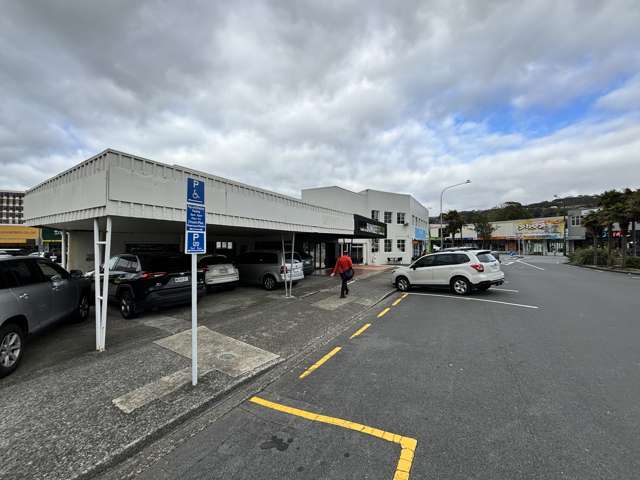 2 Waterloo Road Hutt Central_4