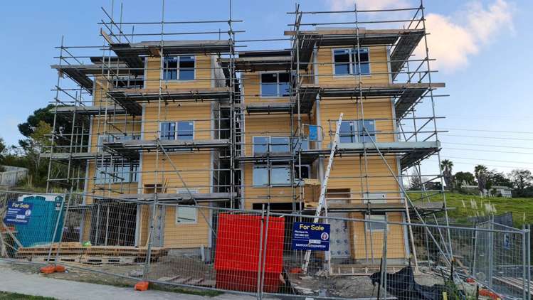 100 Joseph Street Flat Bush_0