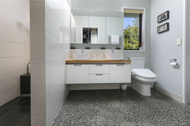 153e Green Road Dairy Flat_25