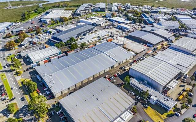 670 Rosebank Road Avondale_4