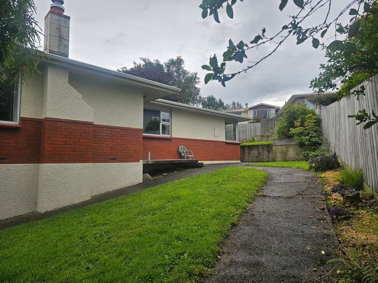 55 Salmond Street Halfway Bush_3
