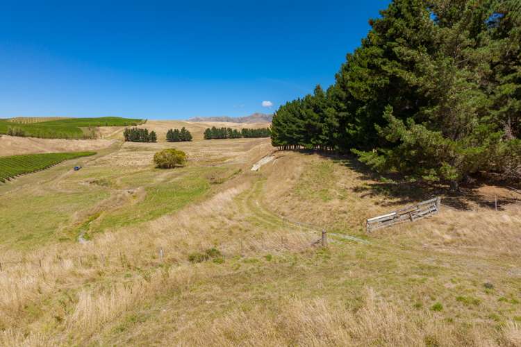 167 Marama Road Seddon_21