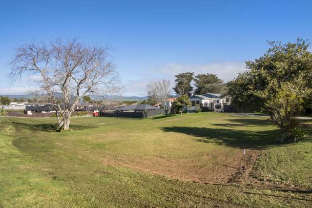 21 Orchard Road Waihi_3