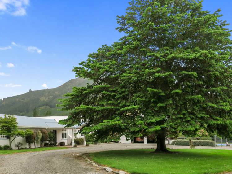 3093 Waihopai Valley Road Waihopai Valley_20