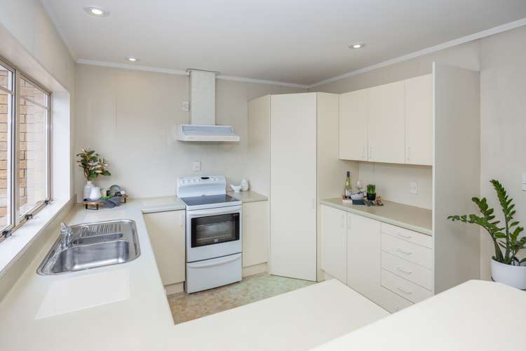 32b Brooklyn Road Claudelands_6