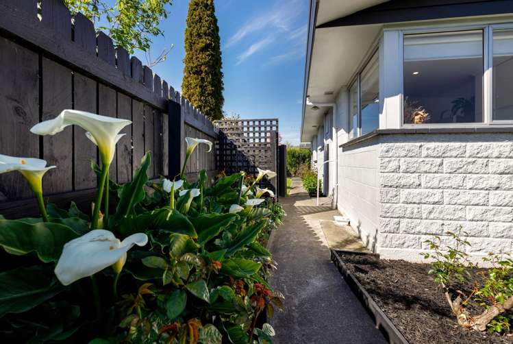 8 Ida Street Redwoodtown_17