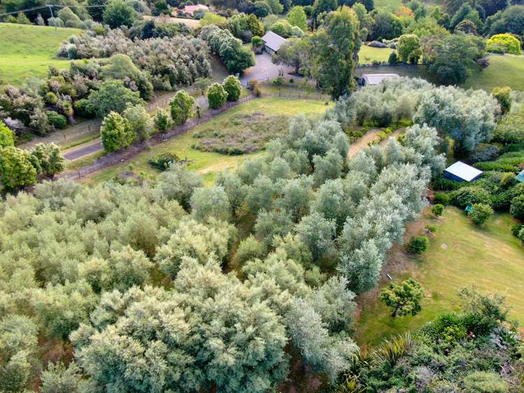 162 Lane Road Havelock North_13