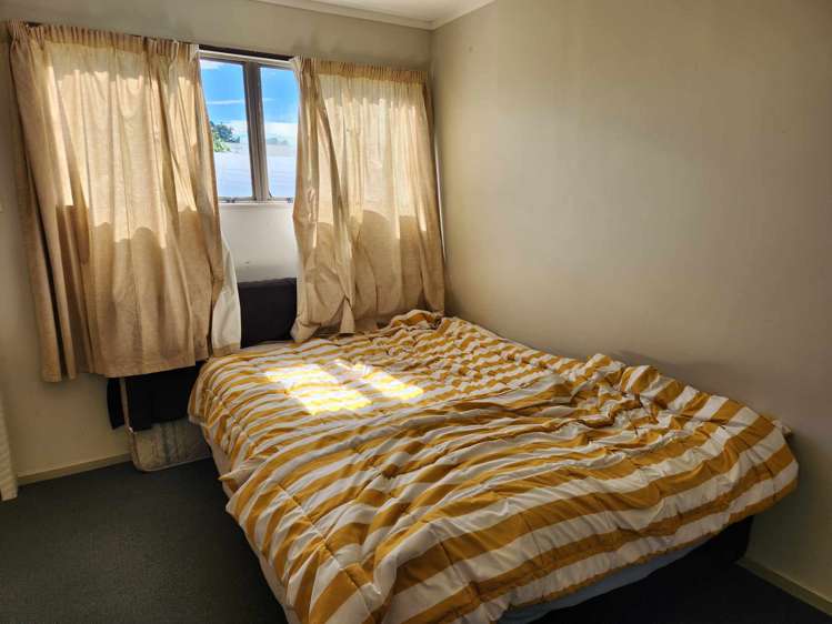 305 Manoeka Road Te Puke_3