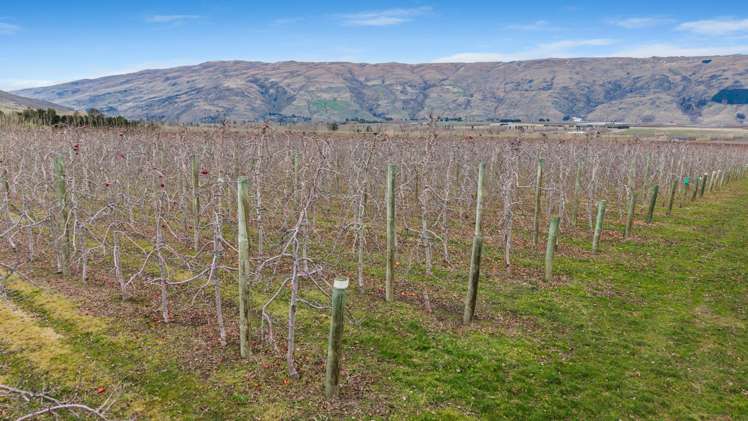 213 Kinaston Road Roxburgh_22