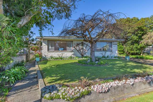 164 Winchester Street Levin_3