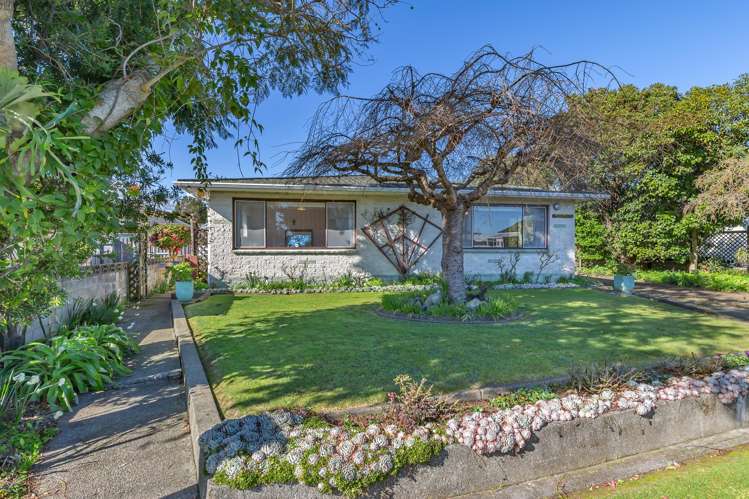 164 Winchester Street Levin_3