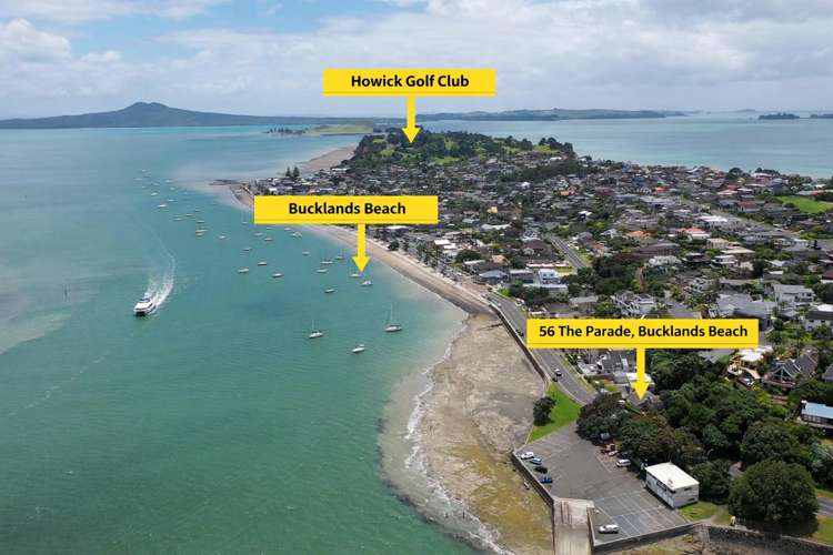 56 The Parade Bucklands Beach_25