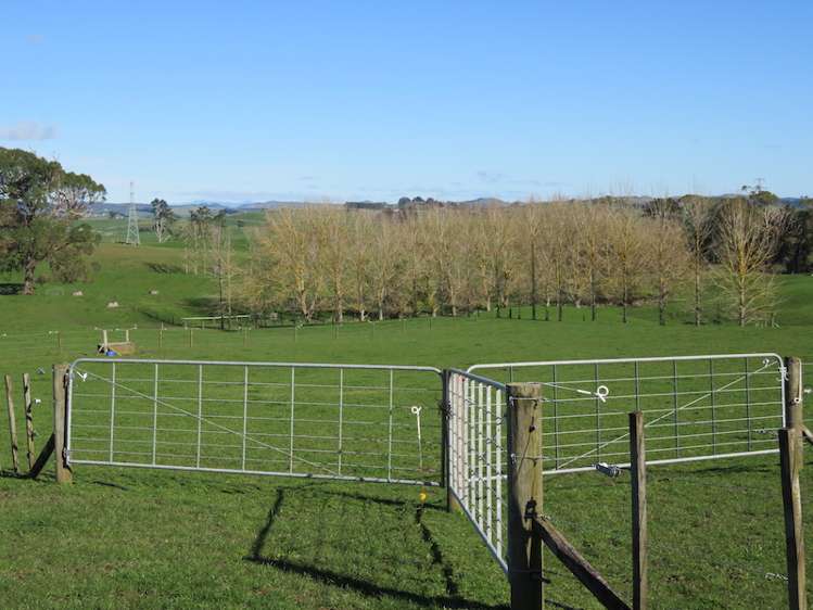 673 Hetherington Road Rotongaro_20