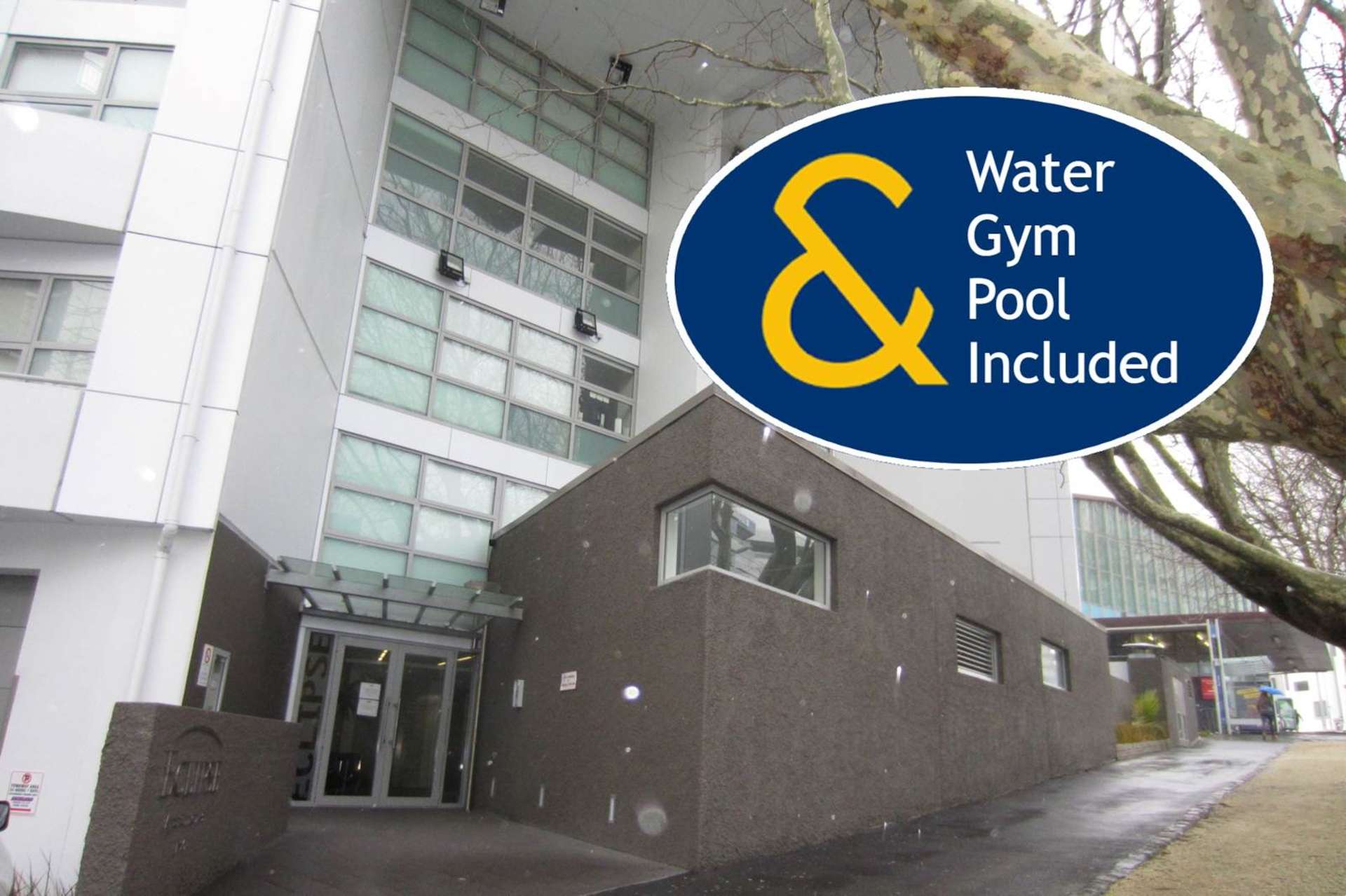 3G/156 Vincent Street City Centre_0