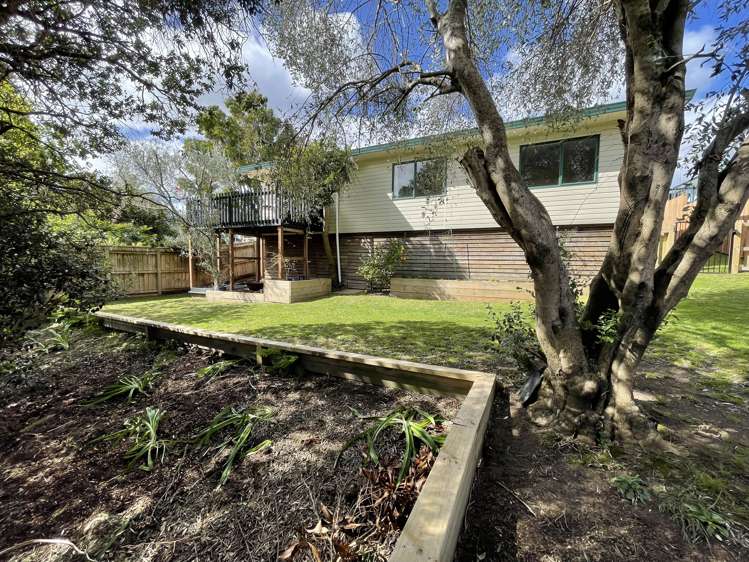 16B Manson Street Greerton_34
