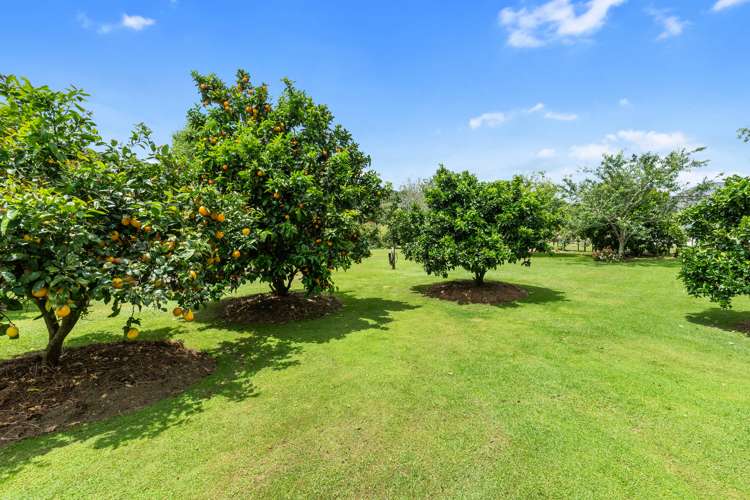 279 Peak Road Kaukapakapa_36