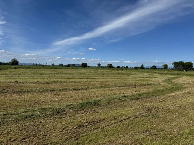 495A and B Piako Road Gordonton_4