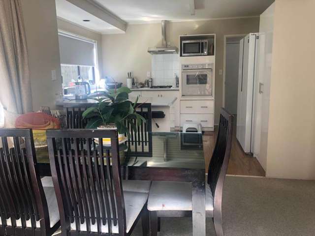 19A Budgen Street Mt Roskill_1