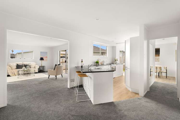 107A Dominion Road_5