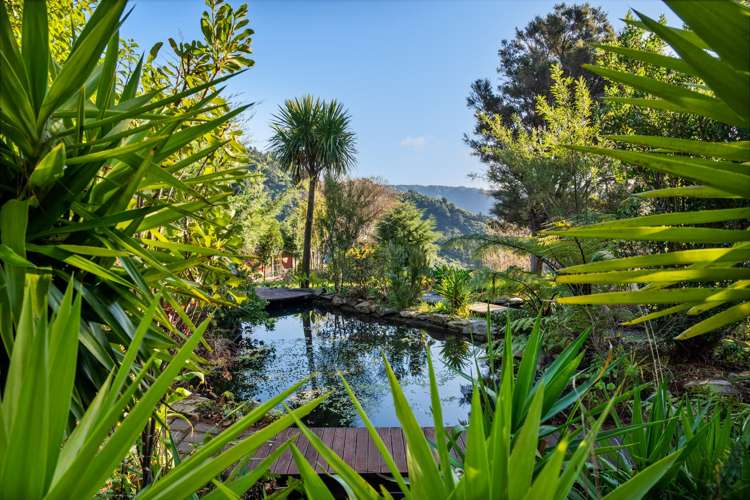 165 Boons Valley Road Picton_5