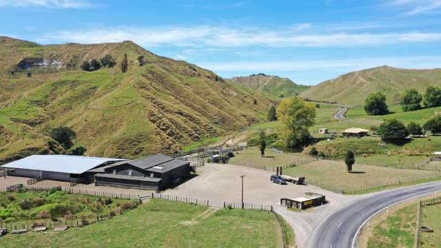 3779 Whanganui River Road (State Highway 43) Ruapehu-King Country Surrounds_1