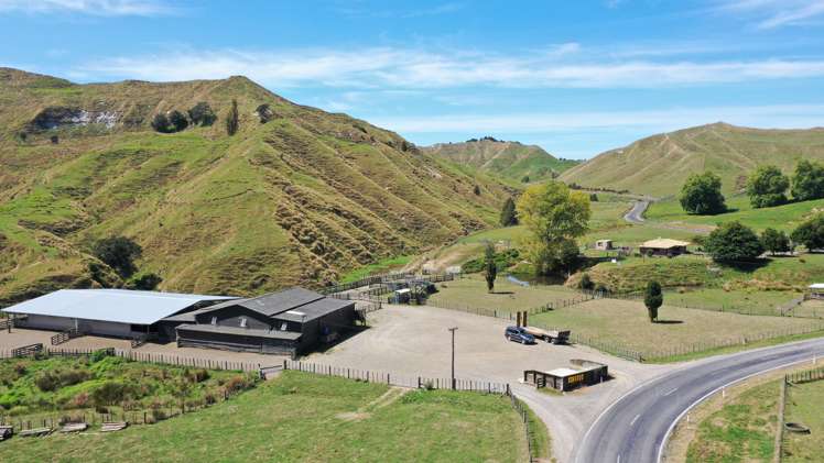 3779 Whanganui River Road (State Highway 43) Ruapehu-King Country Surrounds_1