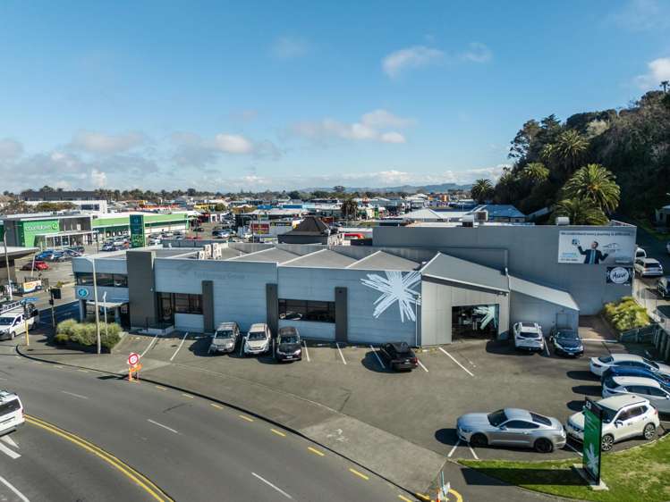 13 Carlyle Street Napier South_10