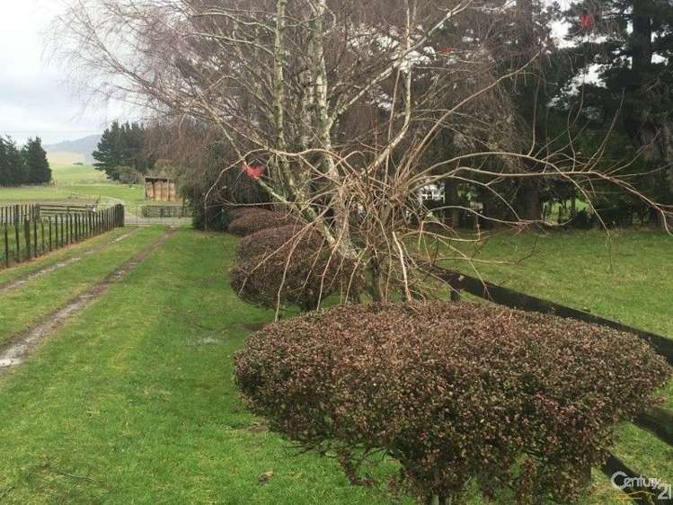 702 Kumeti Road Dannevirke_19