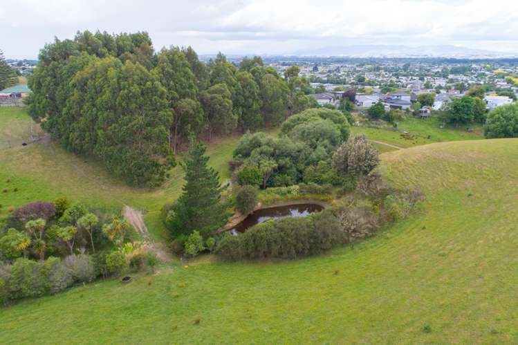 22 Halcombe Road_3