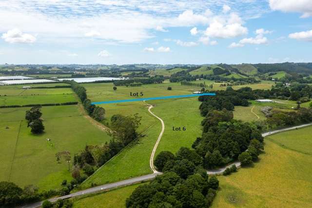 Lot 6 Streamlands Swamp Road Kaipara Flats_4