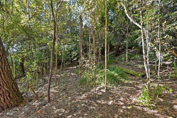 11A Saddleback Rise Murrays Bay_44