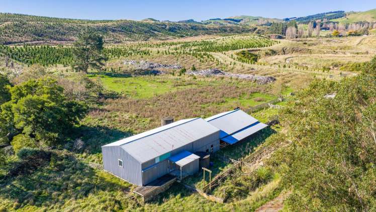 254 Wilder Road Porangahau_13