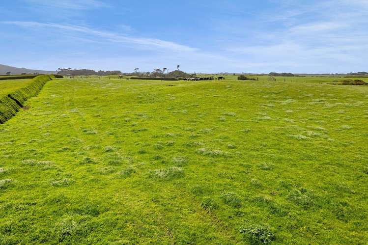 3789 South Road Opunake_6