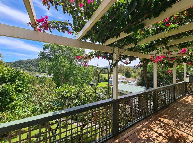 1225 Rings Road Coromandel_5