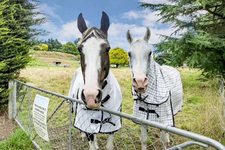 1406 Cust Road Cust_23