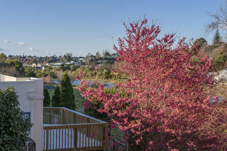 110 Coopers Road Gate Pa_10