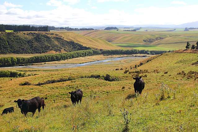 93 Ridgedale Road Te Anau_1