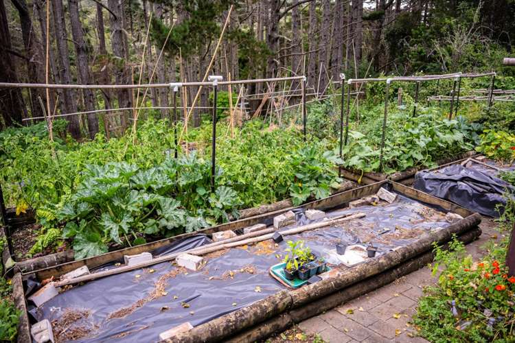 1041a Scenic Drive North Swanson_24