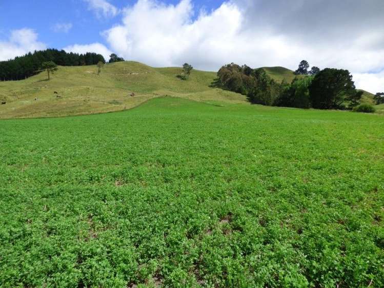 1370 Te Kopia Road Waikite Valley_5